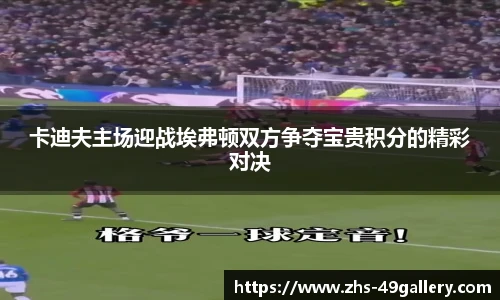 卡迪夫主场迎战埃弗顿双方争夺宝贵积分的精彩对决